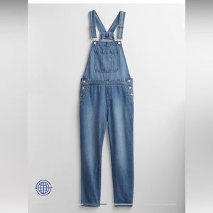 *low price for 1 day only!* GAP Denim Overalls with Washwell